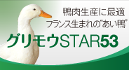 グリモウSTAR53