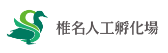 椎名人工孵化場は創業大正12年。あひる、あいがも、鴨肉のエキスパート。